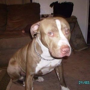 Meet your Posher, Gary